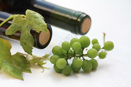 葡萄酒瓶洞穴玫瑰园艺瓶子收成树叶软木酒精生长太阳图片