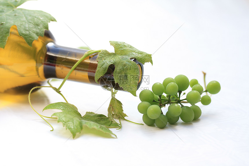 酒瓶叶子藤蔓园艺树叶葡萄园软木酒精玫瑰玻璃瓶子图片