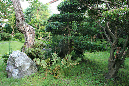 逆回购jardinzen (贾蓬)背景