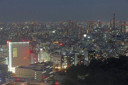 夜之鸟子市图片