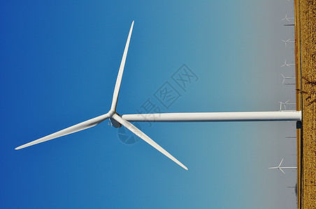风风涡轮树木场地绿色资源技术科技风车涡轮机风力背景图片