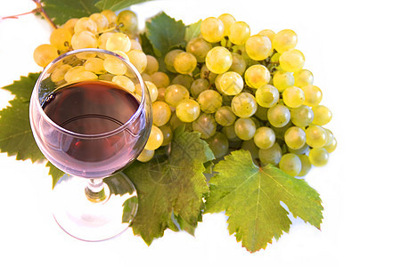 葡萄酒和葡萄酿酒葡萄园叶子白色葡萄炎藤蔓农业食物葡萄属酒厂图片