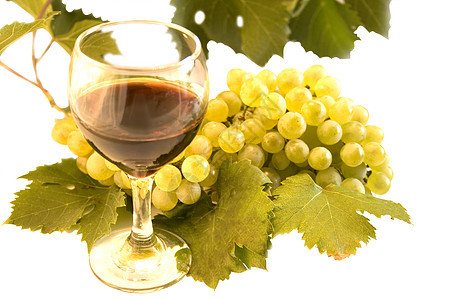 葡萄酒和葡萄酒厂水果白色树叶藤蔓饮料葡萄炎红色玻璃植物图片