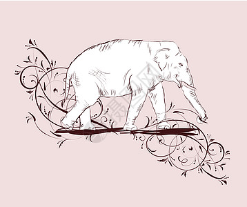 白色大象草图装饰花卉设计图片