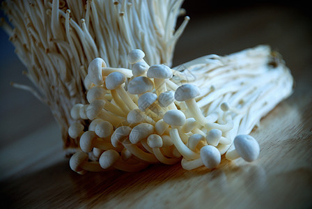 Enoki 蘑菇蔬菜菌类白色食物牡蛎调味品图片