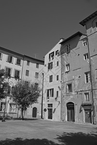 比萨 意大利城市历史性玻璃街道建筑窗户建筑学旅行教会公寓图片