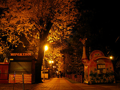 秋季生态风景黄色公园大街巷道城市照明瓷砖树叶图片