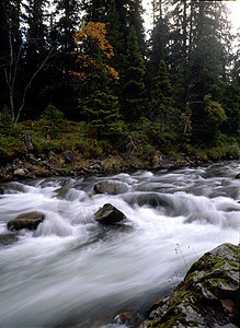 流动河流风景溪流森林瀑布叶子蓝色旅行公园热带石头图片