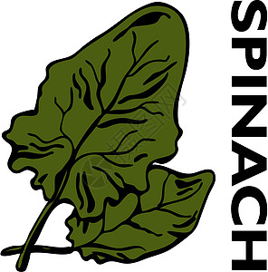 菠菜绿色涂鸦树叶插图夹子草图艺术黑色食物蔬菜图片