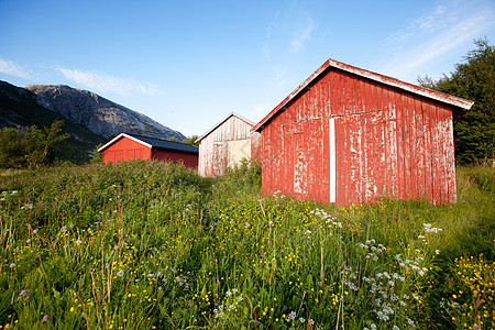 挪威渔船号红色风化小屋钓鱼谷仓场地建筑海岸乡村岩石图片