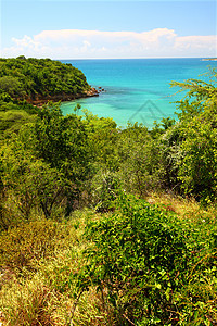 Guanica保留地波多黎各海洋生态旅游天空假期晴天树叶热带森林公园叶子图片