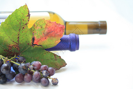 酒瓶和葡萄叶图片
