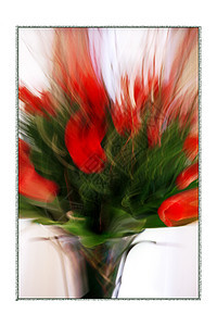 花瓶中的红玫瑰插花花朵红色花束背景图片