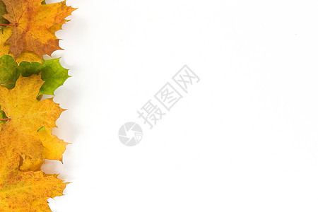 秋叶树叶制作的彩色边框橙子天气黄色红色绿色季节背景图片