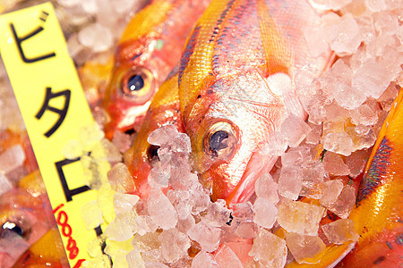 供出售的鱼营养柠檬销售市场钓鱼店铺食物烹饪海鲜海洋图片