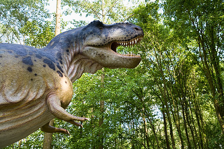 暴龙雷克斯恐慌公园蜥蜴化石爬虫森林模仿攻击痕迹环境图片