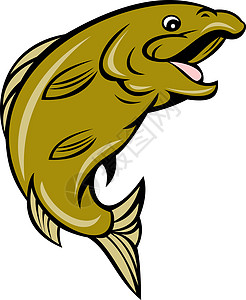 五弦贝斯卡通卡通鳟鱼跳跃边海洋生物插图卡通片背景
