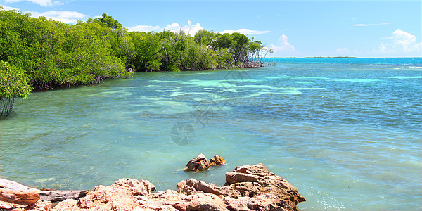 Guanica保留地波多黎各假期里科岩石公园栖息地生态旅游风暴晴天树叶海洋图片