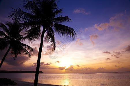 热带海滩和椰子棕榈上美丽的夕阳图片