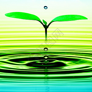 树苗行动液体绿色气泡飞溅洗涤瓦楞饮料健康蓝色图片