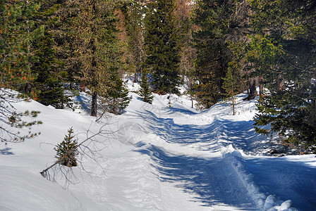 2007年意大利多洛米特阿尔卑斯山冬自行车享受桌面滑雪高山全景天空森林滑雪者山脉图片