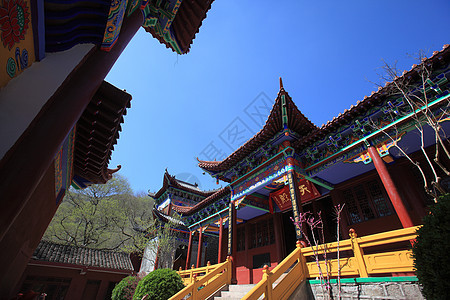 旅游观光景大树蓝天寺庙公园历史游客建筑旅行宗教宝塔图片