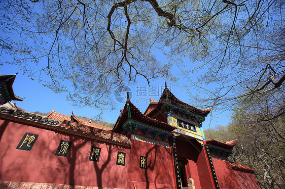 旅游观光景旅行蓝天寺庙风景公园宝塔大树游客宗教森林图片