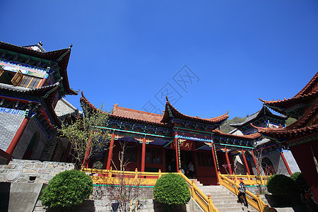 旅游观光景游客寺庙宝塔建筑宗教风景历史旅行公园大树图片