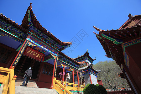 旅游观光景大树蓝天宝塔宗教历史旅行寺庙森林建筑公园图片