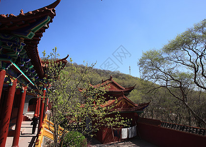旅游观光景旅行大树风景公园宗教游客蓝天宝塔寺庙森林图片