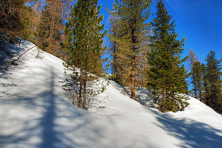 2007年意大利多洛米特阿尔卑斯山冬享受滑雪者山地高山旅行滑雪自行车假期桌面天空图片