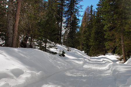 2007年意大利多洛米特阿尔卑斯山冬娱乐桌面高山旅行天空享受山脉滑雪滑雪者全景图片