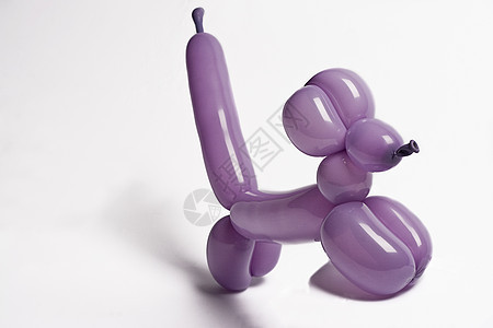 紫色气球狗贵宾犬乐趣魔法创造力喜悦艺术玩具派对工艺小狗图片