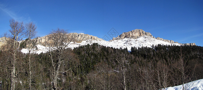 岩石植物群天空高山旅行全景风景斜坡山丘松树一条路线图片