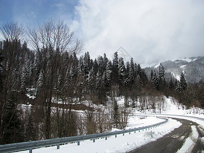冬季松树天空山丘植被冰川斜坡植物群全景一条路线风景图片