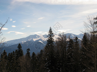 主要高加索山脊文件高山山丘一条路线山峰斜坡全景冰川青菜木头图片