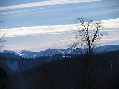 主要高加索山脊全景旅行植被斜坡松树冰川高山山峰风景天空图片