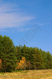 秋季风景土地缠绕人行道天空蓝色阳光农业森林城市草地图片