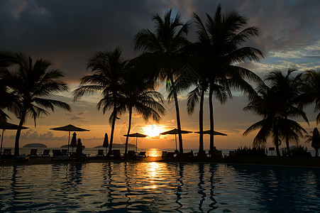 热带酒店晚间旅行酒店奢华热带海滩日落假期棕榈遮阳棚长椅图片