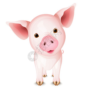 小猪农业吉祥物艺术玩具快乐鼻子插图剪贴农场童年图片