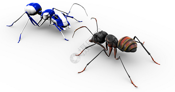 蚂蚁与油漆蓝蚂蚁交谈图片