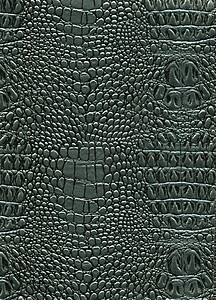 皮肤纹理纺织品鳄鱼动物宏观织物奢华爬虫蜥蜴材料皮革图片