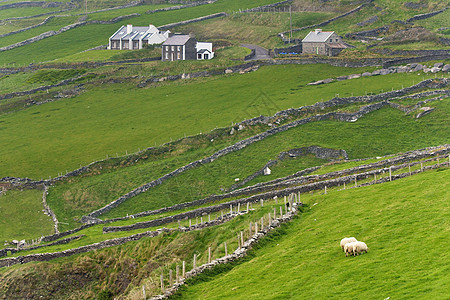 爱尔兰乡村地区旅行场地房子农村建筑学绿色国家草地石头草原图片