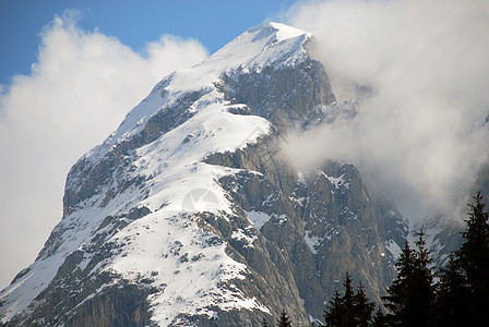 2007年意大利多洛米特阿尔卑斯山冬山脉滑雪者享受森林旅行天堂滑雪假期桌面山地图片