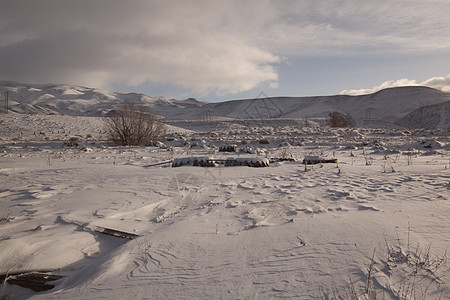 大雪覆盖的土地清晨寒雪平原     农村下雪户外场景f场地太阳草地冷冻天空地平线射线阳光季节草原背景