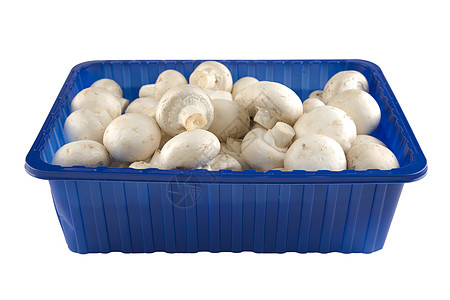 蓝盒中新鲜的冠冠状蘑菇图片