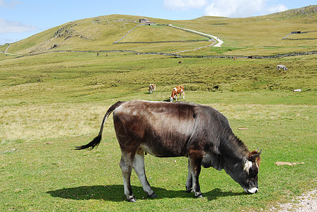 山区地貌晴天地块登山反射岩石森林生态全景风景镜子图片