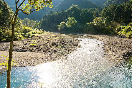 河水来自森林树木天空风景环境石头溪流木头场景荒野蓝色图片