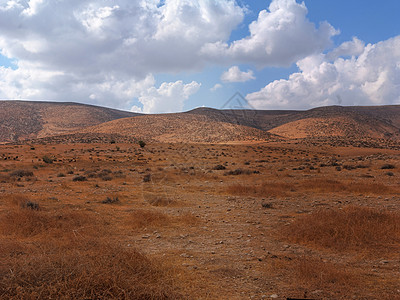 以色列内盖夫沙漠边缘希伯伦山南坡景观全景巨石植被橙子丘陵沙漠灌木丛内盖夫石头森林图片