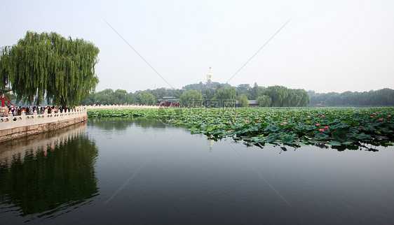 北京紫禁城附近的Beihai公园寺庙中心文化绘画首都地标狮子多样性公园宝塔图片